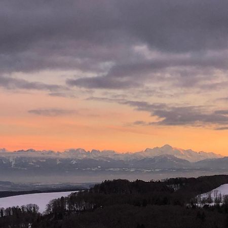 La Croisee Des Chemins Premier Dış mekan fotoğraf