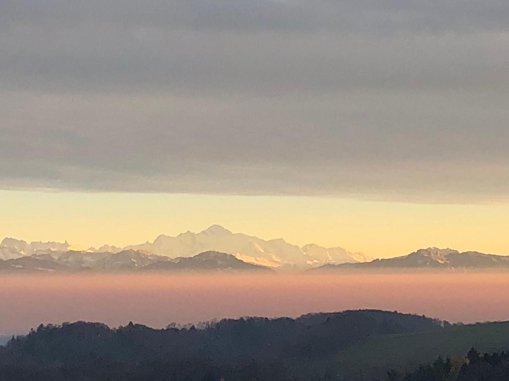 La Croisee Des Chemins Premier Dış mekan fotoğraf