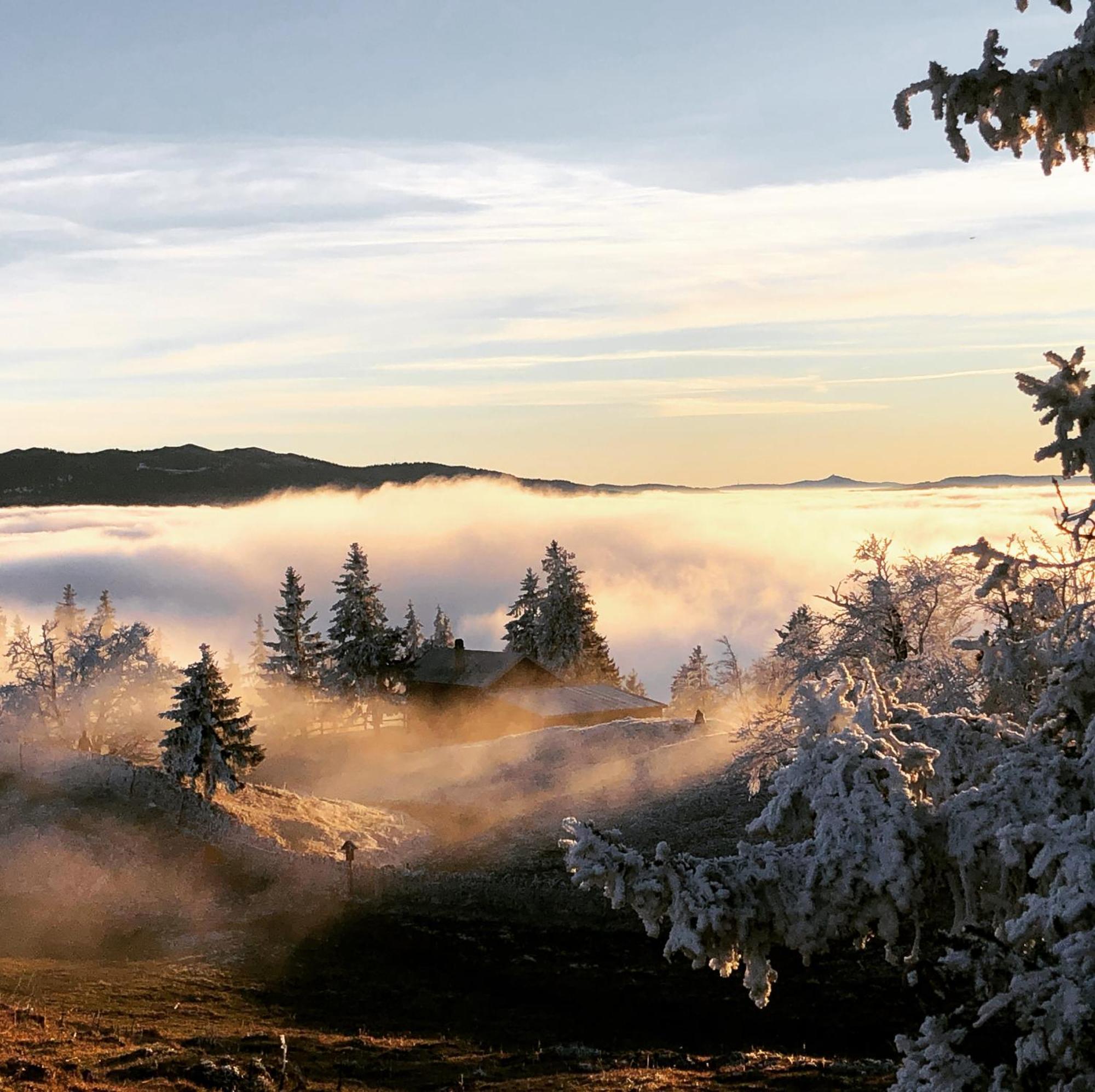 La Croisee Des Chemins Premier Dış mekan fotoğraf